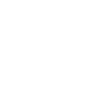 logo-nice-2